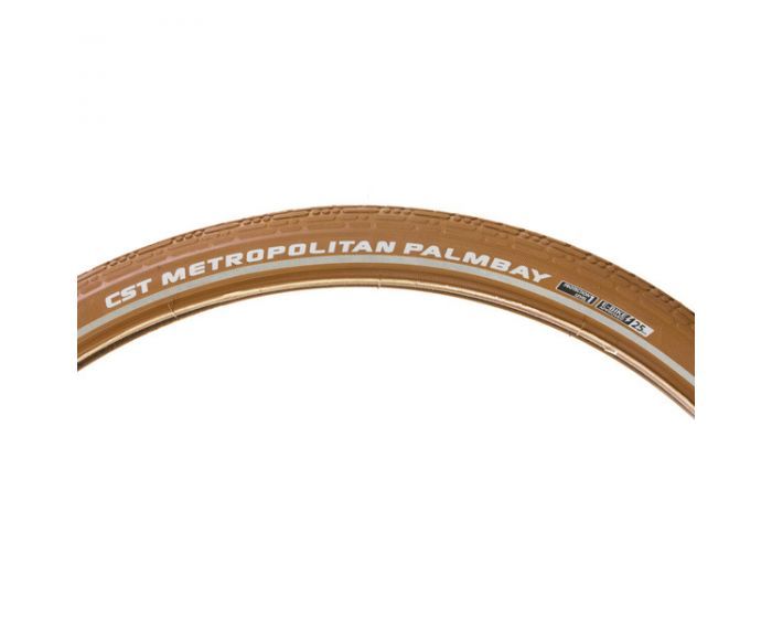 FE1201A CST Palmbay 50-622 bruin